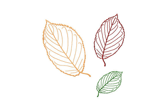 Beech Tree Leaves: A Versatile Design for Business