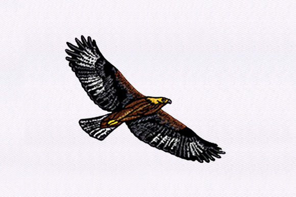 Brown Eagle: A Majestic Addition to Your Embroidery